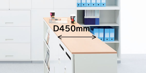 s450mm