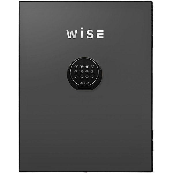 WISEプレミアムセーフ用フェイスパネル(ダークグレイ) WS500FPDG