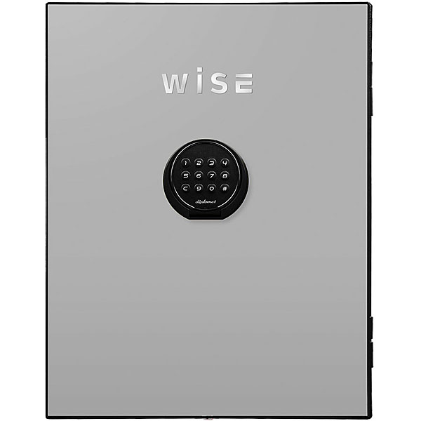WISEプレミアムセーフ用フェイスパネル(ライトグレイ) WS500FPLG