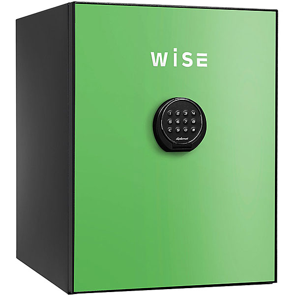 WISEプレミアムセーフ(グリーン) WS500ALG