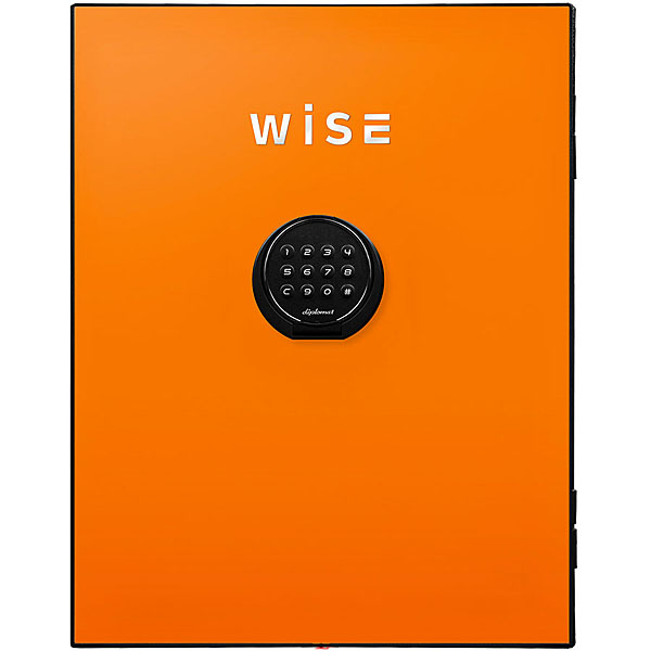 WISEプレミアムセーフ用フェイスパネル(オレンジ) WS500FPO