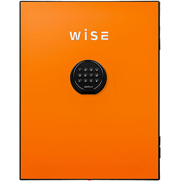 diplomat ディプロマット wise耐火金庫用フェイスパネル(オレンジ) WS500FPO