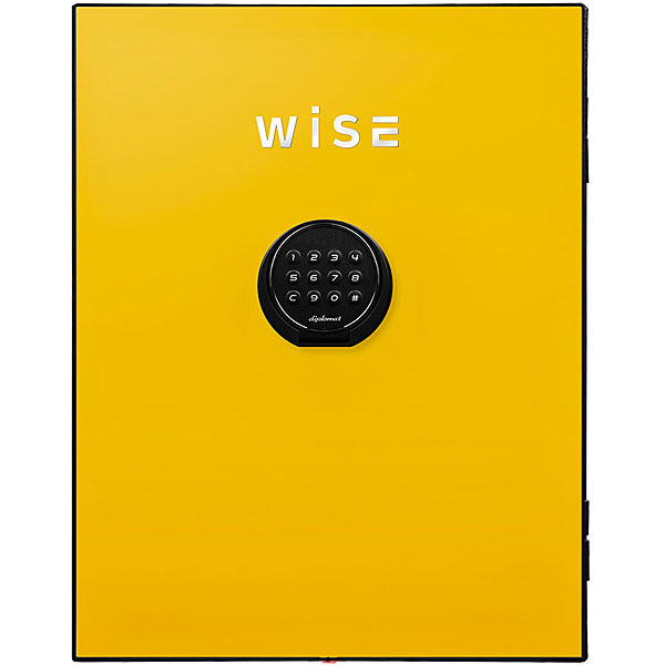 diplomat ディプロマット wise耐火金庫用フェイスパネル(イエロー) WS500FPY