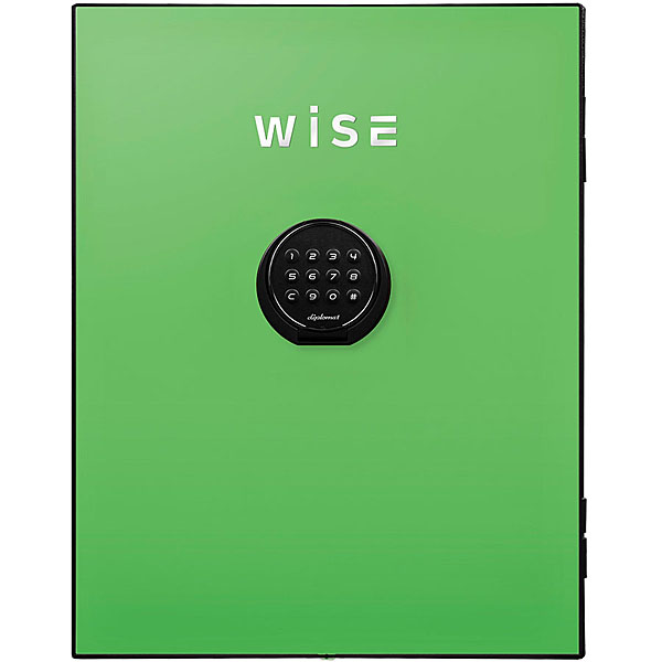 WISEプレミアムセーフ用フェイスパネル(グリーン) WS500FPG