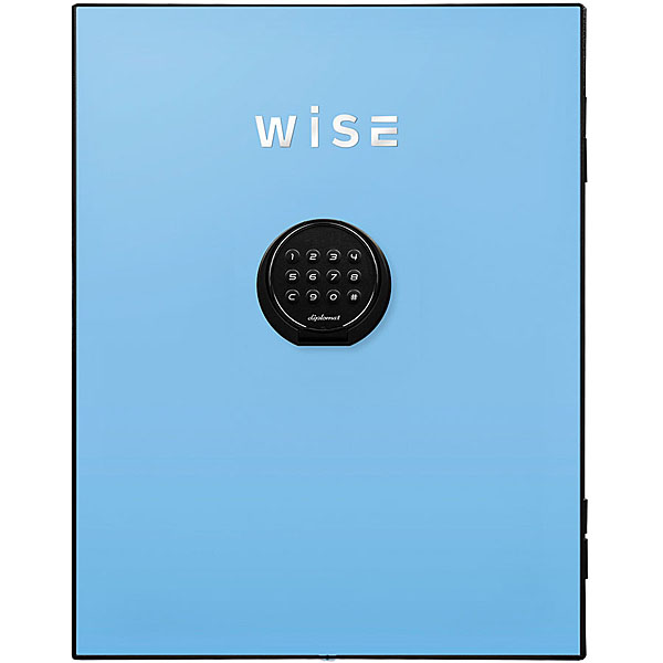 WISEプレミアムセーフ用フェイスパネル(ライトブルー) WS500FPB