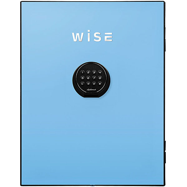 diplomat ディプロマット wise耐火金庫用フェイスパネル(ライトブルー) WS500FPB